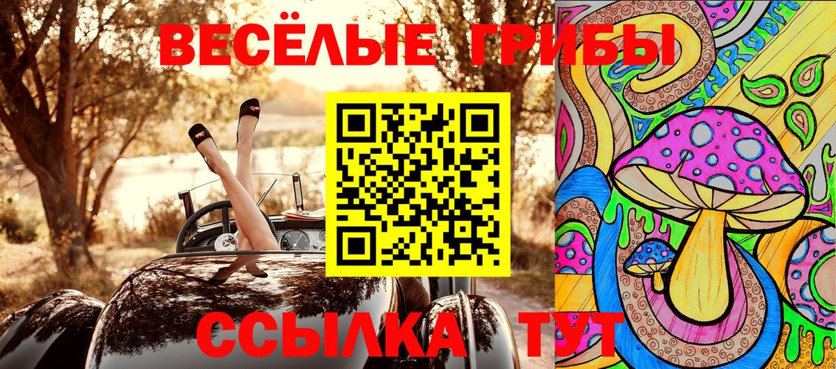 Галлюциногенные грибы GOLDEN TEACHER Зима